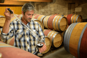 Maitre de chai prélève un échantillon dans une cave a vin