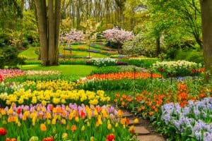 Jardin paysagé
