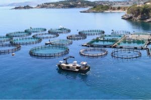 Exploitation d'une ferme aquacole en mer