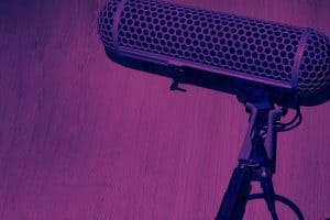 Microphone professionnel