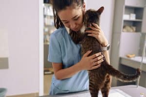 Auxiliaire de santé animale avec un chat