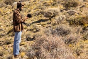 Bruiteur enregistre des sons dans la nature