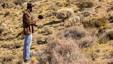 Bruiteur enregistre des sons dans la nature
