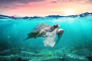 Tortue qui tient un sac plastique au milieu de déchets dans la mer