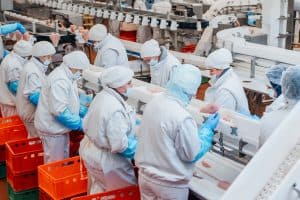 Ligne de production dans une usine de produits alimentaires