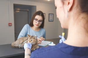 Secrétaire vétérinaire qui accueille une cliente et son chat